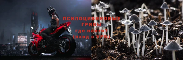 гидропоника Абаза