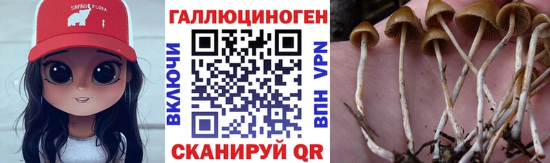 kraken вход  Канск  Галлюциногенные грибы MAGIC MUSHROOMS  цены  